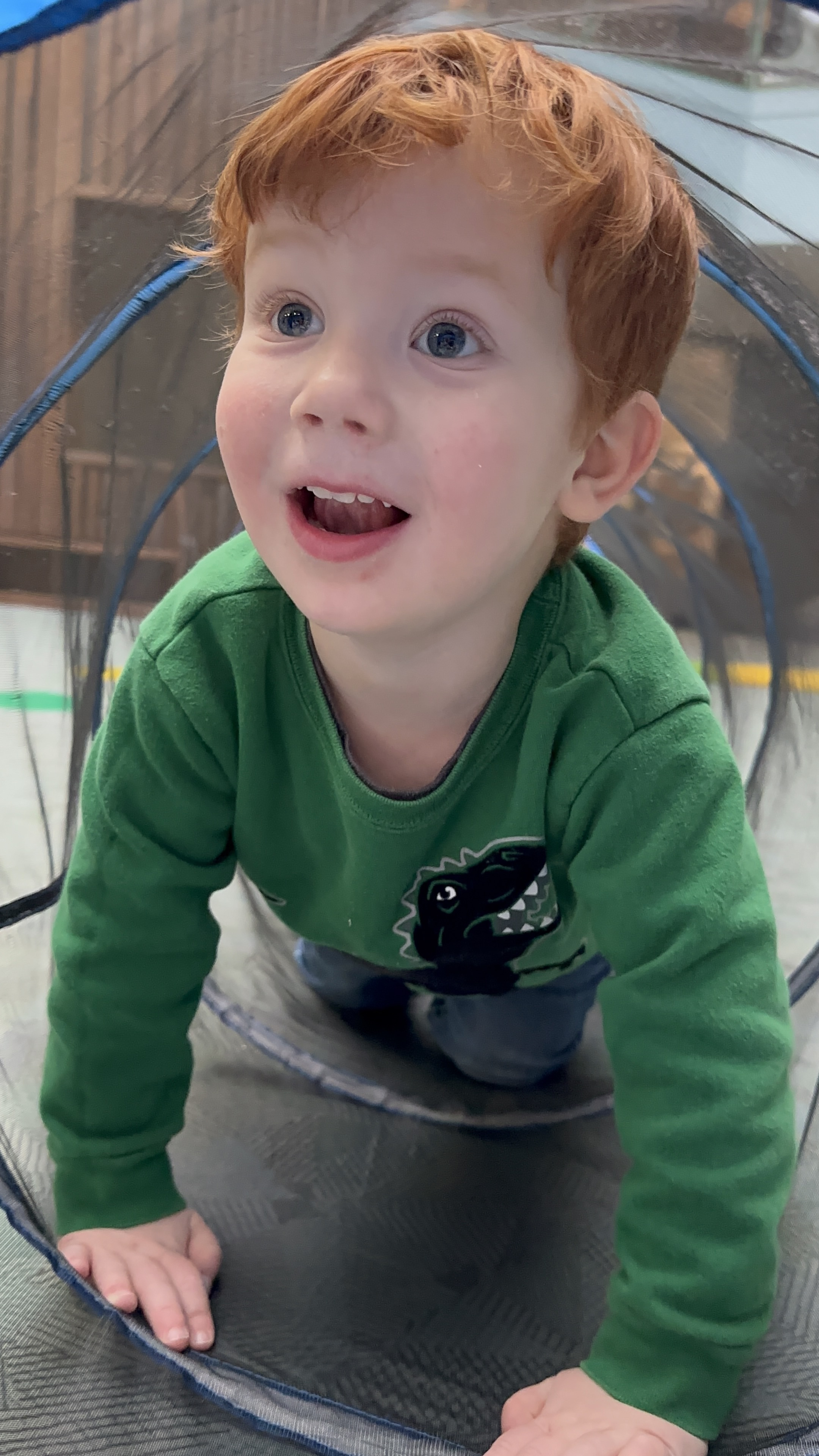 Preschool Summer Camp

 
